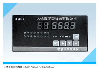 XMDA-9000智能巡回顯示調(diào)節(jié)儀